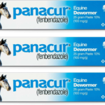 (3 Pack)  Dewormer Horse Paste 10%, 100Mg Each